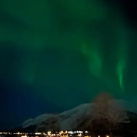 Storgalten Appartement *